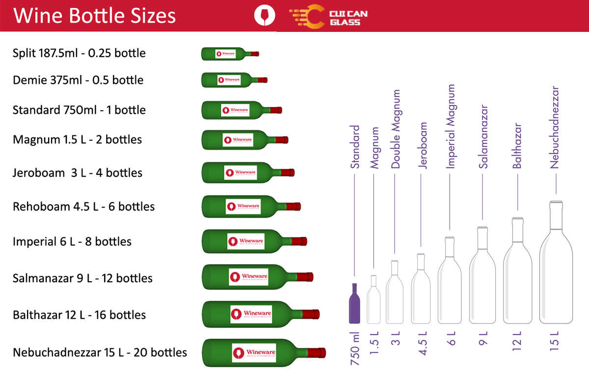 Bottle Size Comparison